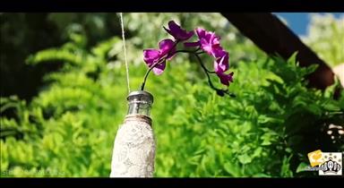 مجتمع پذیرایی و باغ تالار ماهان گرمدره
