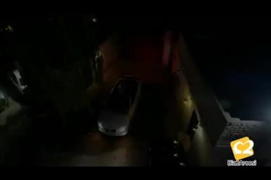 باغ تالار لوکس پرنسس 1