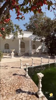 باغ عمارت عکاسی ویدا 15