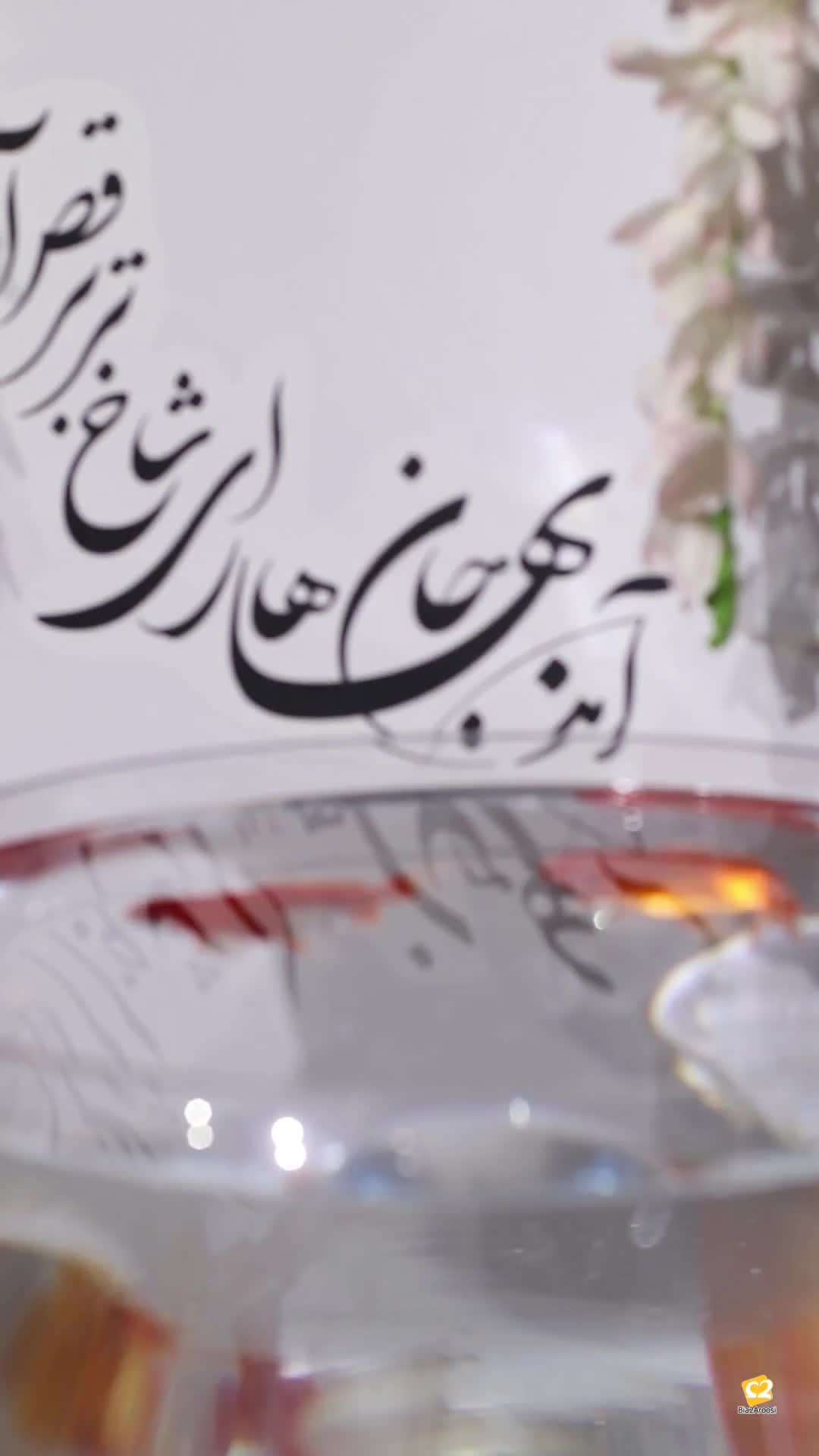 عکس کودک فردیس