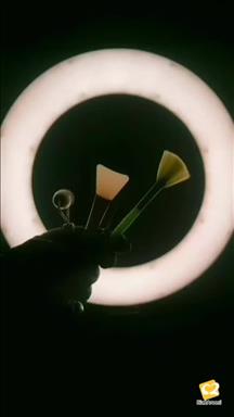 نگین تک 11