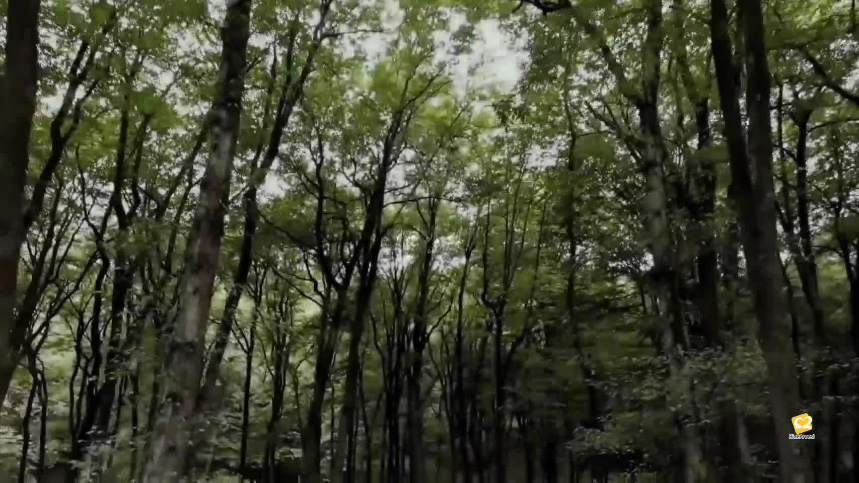 استودیو عروس هیوا در مشهد