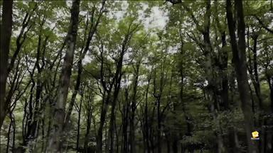 استودیو عروس هیوا در مشهد