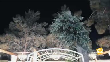باغ عمارت ماهرو