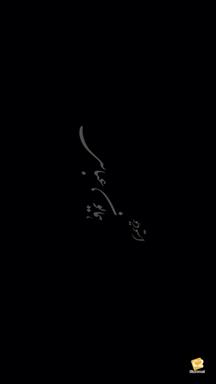 استودیو همایون عباسی 1