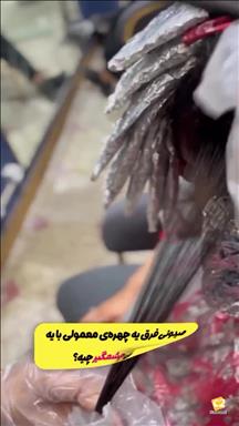 آرایشگاه عروس چابهار
