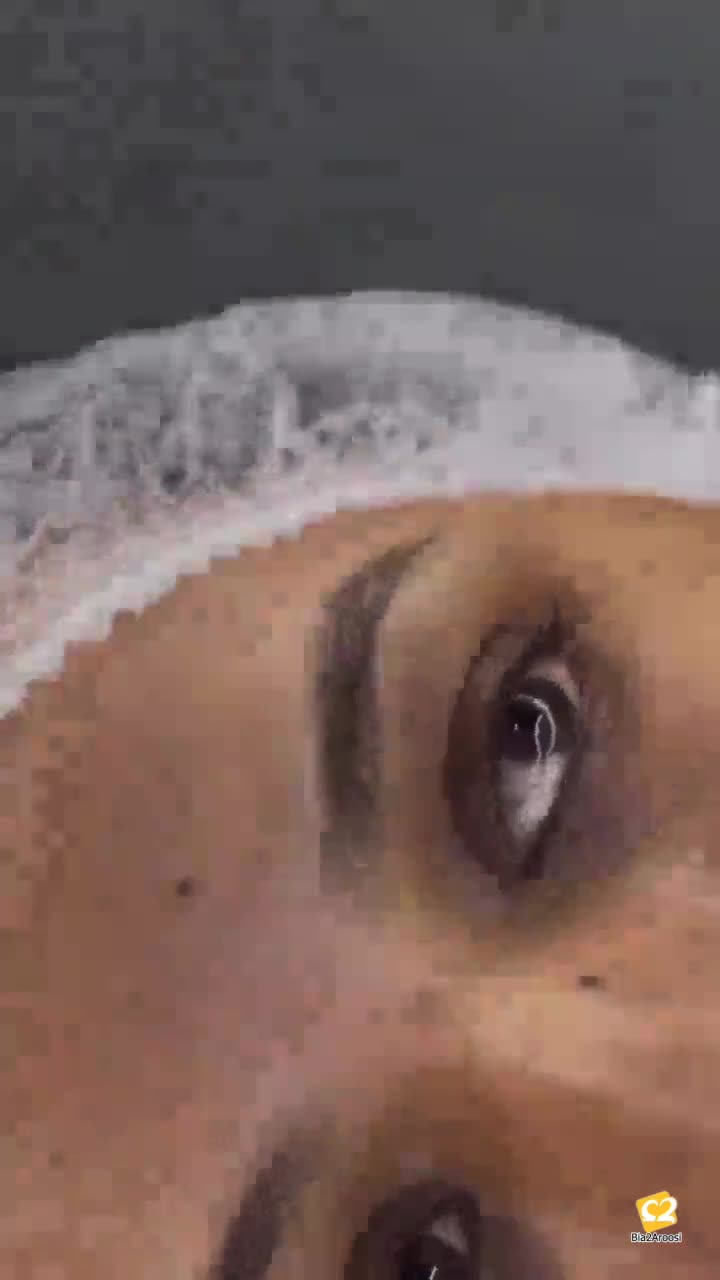 زیبایی قصر عروس 10