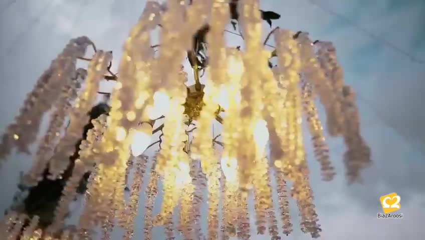 تشریفات مجالس سینگو قشم