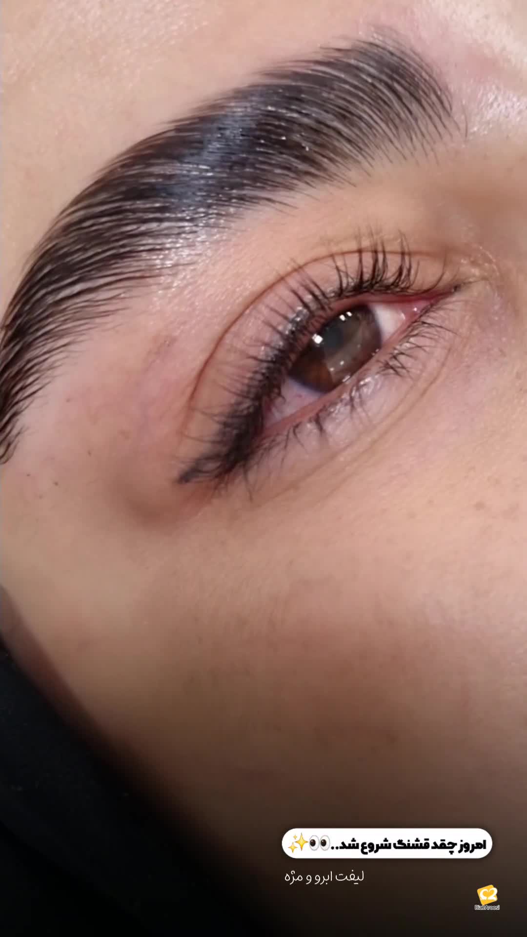 آکادمی مژه آیلین 6