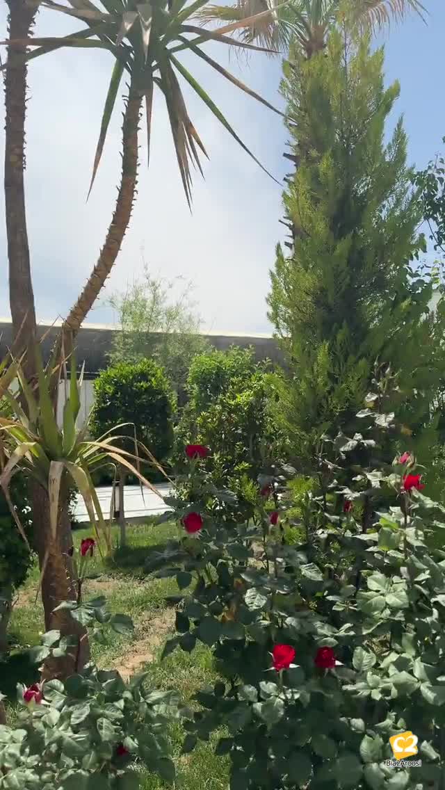 عمارت عکاسی مهندس رستمی 11