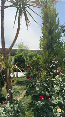 عمارت عکاسی مهندس رستمی 11